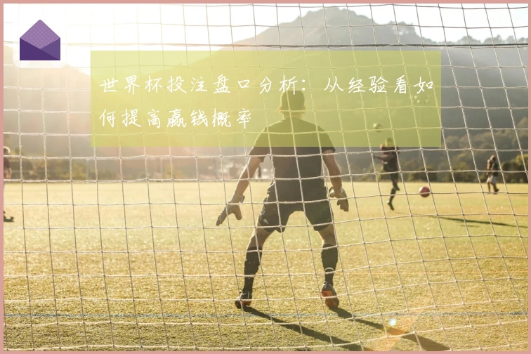 世界杯投注盘口分析：从经验看如何提高赢钱概率