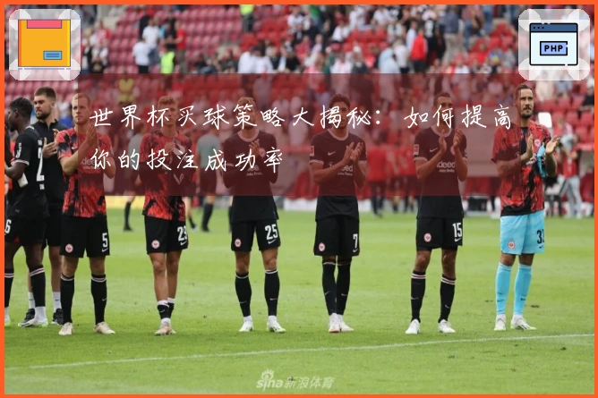 世界杯买球策略大揭秘：如何提高你的投注成功率