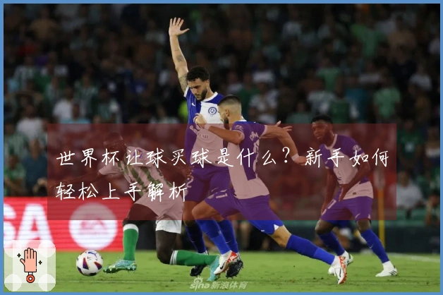 世界杯让球买球是什么？新手如何轻松上手解析