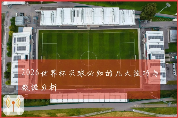 2026世界杯买球必知的几大技巧与数据分析