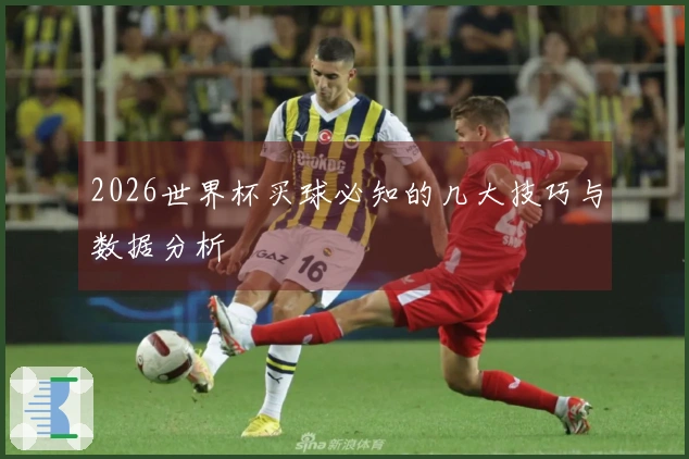 2026世界杯买球必知的几大技巧与数据分析